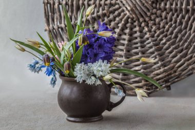 Kahverengi seramik fincanda mavi sümbül, mavi scilla, açık mavi pisikinia, Fritillaria uva-vulpis (tilki üzümü fritiller) ve dokunmuş arka planda narin botanik laleler bulunan bahar çiçeği..