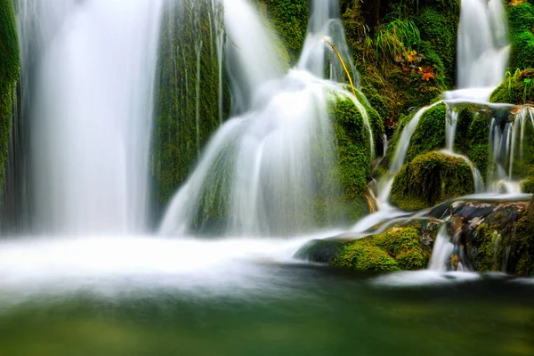 Waterfall Forest Plitvice National Park Imagem De Stock
