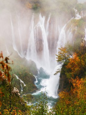 Plitvice göllerindeki yağmurlu, sisli sonbahar havasında sakin bir orman ortamında resim gibi sonbahar şelalesi.