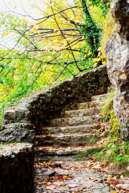 Doğal orman manzarası ile çevrili, düşen sonbahar yapraklarıyla kaplı kırsal taş basamakların sakin sahnesi, bir sükunet ve mevsimsel değişimi çağrıştırıyor..