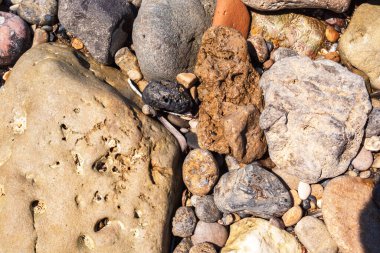 Sahil kıyısında çeşitli renkli, pürüzsüz çakıl taşlarını gösteren, doğal güzelliği ve sükuneti yansıtan detaylı bir yakın çekim görüntüsü..