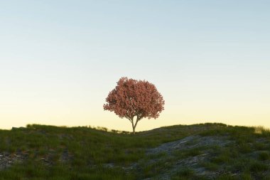 Pink Blossom Tree on a Grass meadow hill sunset sky. 3d render