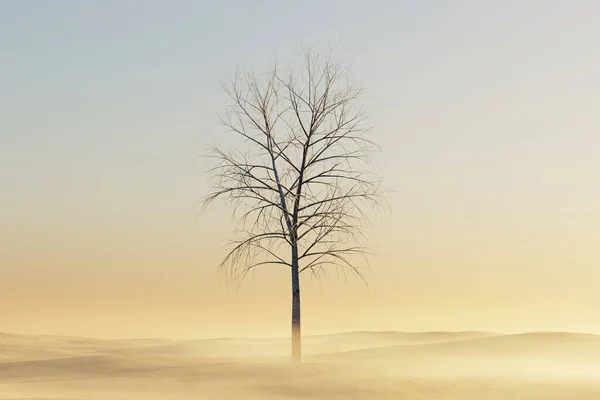 Osamělý Strom Bez Listí Zamlženém Terénu Vykreslení — Stock fotografie