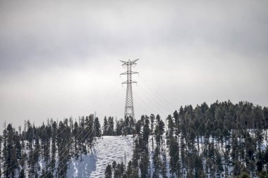 Kışın elektrik direkleri