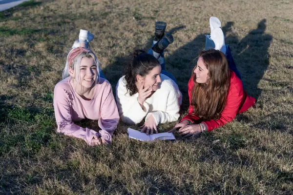 Gras Liegend Lachen Drei Freunde Gemeinsam Sonnenlicht Einer Hält Ein Stockbild