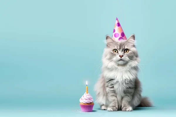 Flauschige Katze Feiert Mit Partyhut Und Geburtstagskuchen Mit Einer Geburtstagskerze — Stockfoto