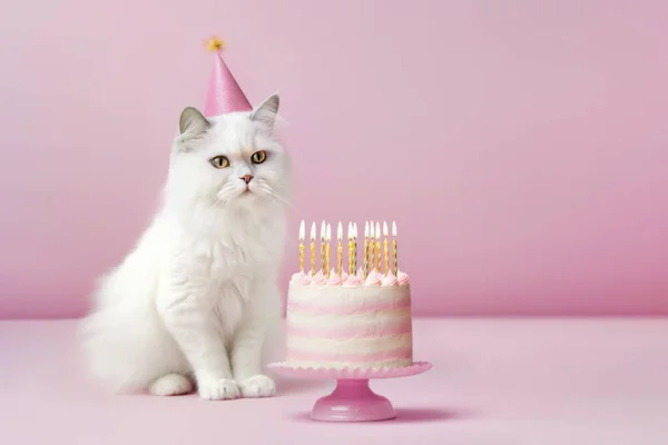 Fluffy white cat wearing a party hat celebrating with a birthday cake with gold birthday candles