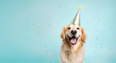 Mutlu Golden Retriever köpekleri parti şapkası takıp bir doğum günü partisinde konfeti düşüşünü kutluyor.