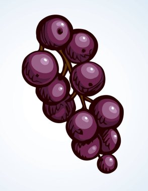 Ana hatlı kırmızı mürekkep, taze, taze, taze, ham, sağlıklı besleyici, yeşil rubrum tatlı amblem tasarımı, retro sanat karalama çizgisi baskı stili. Çiçek dalını kapat botanik görüntüsü açık gökyüzü metin arkaplanı