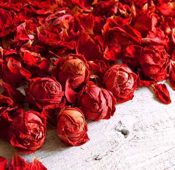 Gammal Stor Konst Ljus Röd Rosa Lila Lukt Spa Flora — Stockfoto