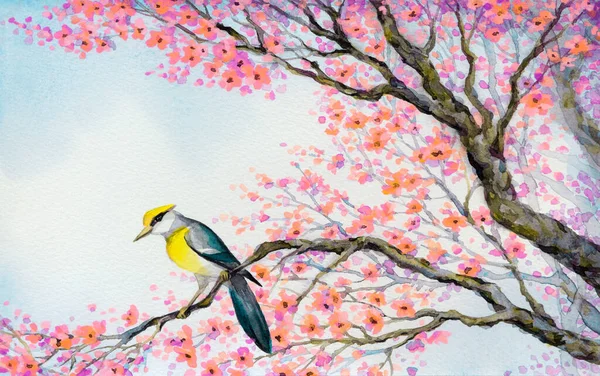 色彩艳丽的水彩画在纸背背景上 在日本素描风格 白天空白字 美丽的金黄色的美洲鹦鹉 主要产于繁茂的粉红色红花果园的老苗木上 — 图库照片
