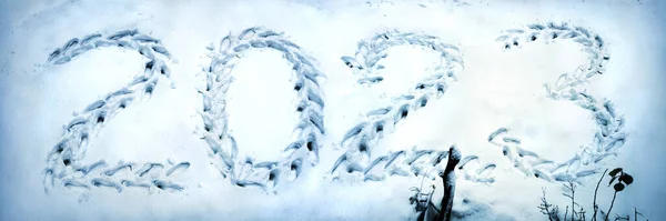 Симпатичный Гранж Артист Слово Город Улица Асфальт Дороге Снежный Поле — стоковое фото