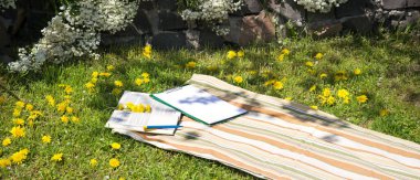 Grunge rustic retro antika açık okul hikayesi kalem işi manzaralı alan. Neşeli kültür edebiyatı. Parlak gün ışığı. Çiçek açan bitki.