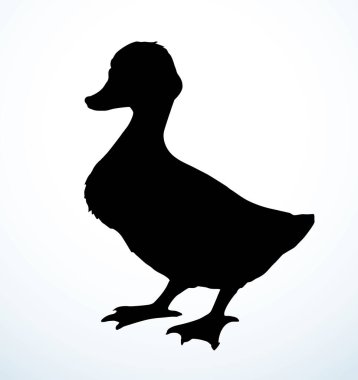 Yakından bakınca şirin nehir gölü anser branta cygnus bill gaggle cub beyaz metin alanı ayarladı. Siyah el çizilmiş boyun kanadı, fauna sinek avlama hattı amblemi, retro sanat karalama tarzı.