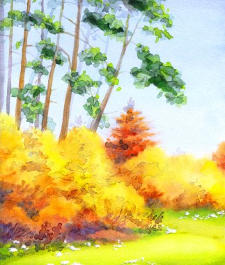 Elle çizilmiş eski yeşil bahçe koruluğu çayırlık patika yol boyunca yol boyunca kağıt metin alanı. Parlak neşe güneşli, güneşli bahar günü eskiz stili kırsal seyahat uzun sedir ladini köknar ağacı manzaralı.