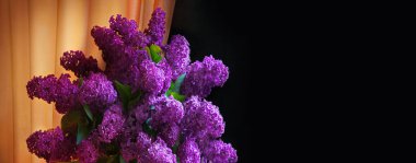 Makro görüşü kapat eski büyük tomurcuk yeşil odun bitkisi parkı mesaj alanı düğün kartı olabilir. Güzellik odası aydınlık pembe renk sanat bile hala hayat dolu aşk sembolü pankart perde perde