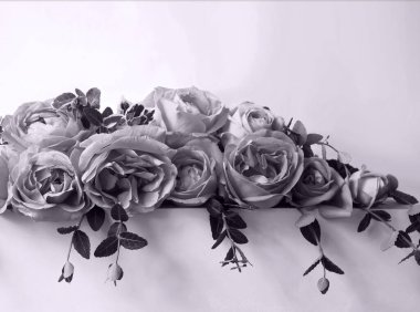 abstract, anniversary, backdrop, background, banner, birthday, bloom, blossom, border, bouquet, celebrate, closeup, copyspace, decoration, decorative, design, elegant, festive, flora, floral, flower, frame, fresh, garden, holiday, invitation, isolate