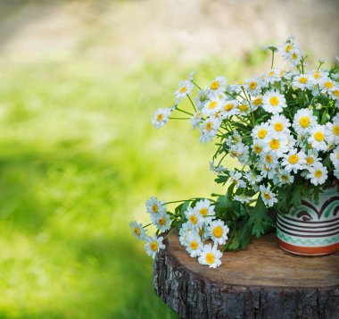 Eski kırsal ağaç kütüğü masa başı ot sanat sahnesi açık renk metin fotokopisi alanı. Güzelim, parlak tomurcuk tomurcuğu demet spa sembolü, eko günü kartı Makro manzaralı pankartı kapat