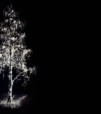 Eski uzun Birchtree kökü çalılık bakır baharı çiçek tarlası metin alanı manzarası. Koyu gri kömür kalem vuruşu gölge eko tasarımı antika retro tarzı açık sarı gökyüzü desenli arkaplan