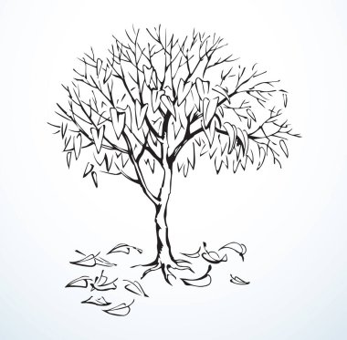 Closeup black ink pen line hand drawn single grow warm fade root trunk stem twig scene retro sketch art style. Close up pass rural scenic view eco poor old cold ground earth soil white sky text space