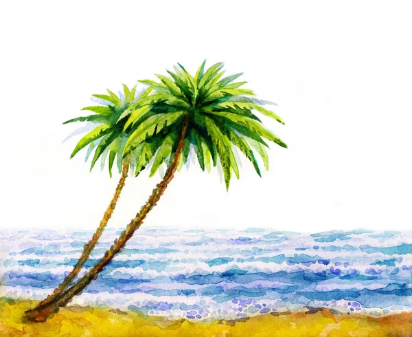 Handgezeichnete Aquarell Hintergrundbilder Skizzieren Den Textraum Grüne Kokosnuss Helle Sonne — Stockfoto