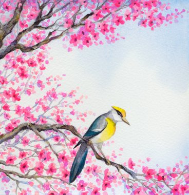 Bright colorful watercolour on paper backdrop in Japan sketch style with space for text on white sky. Cute golden american parus major oriolus on old sprout of lush pink scarlet flowery orchard yard clipart