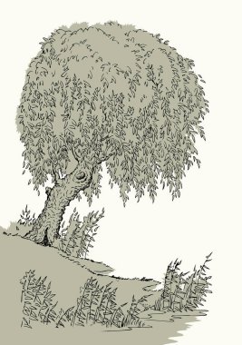 Eskimiş siyah mürekkep kalem el, sükunet ve sükunet dolu sonbahar manzarası eskimiş sanat karalama çizgisi tarzı. Yakın sakin dere kamışı bitkisi arazi manzaralı beyaz gökyüzü metin arkaplanı