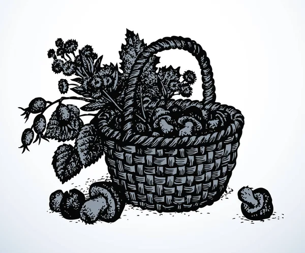 Esquema Tinta Negra Dibujado Mano Antiguo Áspero Bastón Ramita Artesanal — Archivo Imágenes Vectoriales