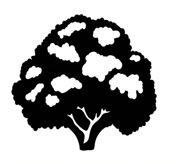 Gros Plan Vue Cru Frais Éco Laitue Brokoli Santé Végétarien — Image vectorielle