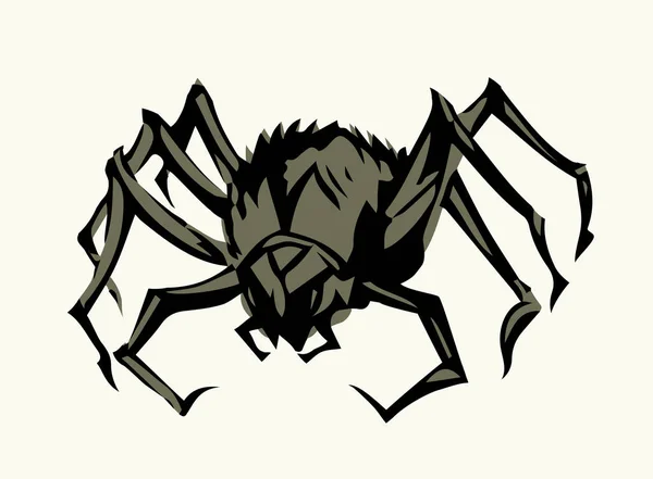 Vad Kis Araneae Web Fenevad Állatkert Élet Kisállat Készlet Fehér — Stock Vector