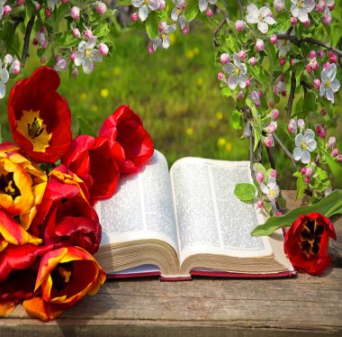 Grunge age dirty worn rough pray white desk space. God prayer holy joy happy gospel culture literary bright glow sun light love fresh apple tree plant branch red bloom bud gift art still life concept