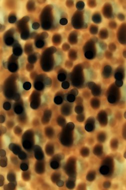 Derin bronz renk yapay sentetik strafor topu parçacık parlaklık etkisi tasarım. Yumuşak ıslak sarı gizemli su. Detay altın süngerimsi fiber genler delik closeup mikro görünüm ve metin için alan