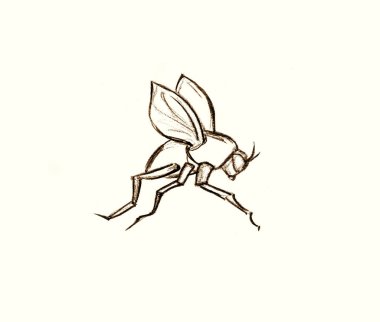 Kapalı makro manzara küçük vahşi köpek derisi gadfly musca zika humması bacak kanadı epidemy zarar bahçem beyaz metin alanı kara kalem çizgisi ikon işareti logo hayat işareti Musa tanrı hikayesi sanat