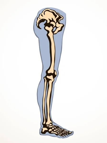 Vista Frontale Donna Anziana Ferita Malata Punta Tessuto Muscolare Parte — Vettoriale Stock