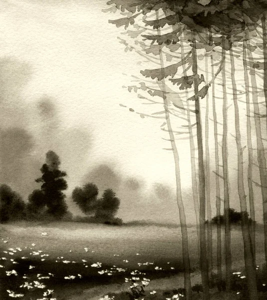 Acuarela Dibujada Mano Obras Arte Calma Sol Niebla Neblina Caída —  Fotos de Stock
