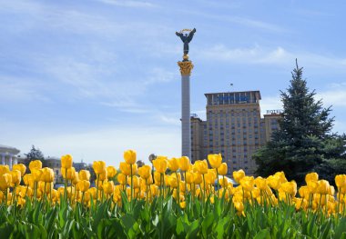 Antik Kyiv merkez sahne, Mayıs 2023. Eski, ünlü, antika, yüksek otel kulesi. Uzun taş, bronz melek figürü. Dikilitaş, çiçek açan, çiçek açan, çiçek açan, çiçek açan, çiçek açan, çiçek açan, mavi, bulut manzaralı yer.