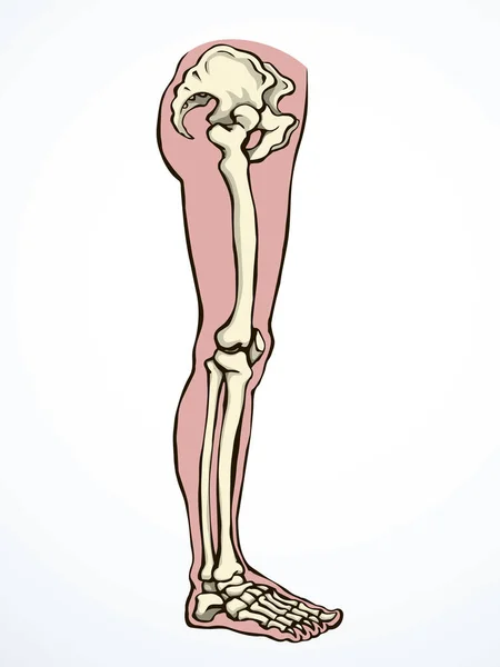 Visão Frontal Mulher Velha Doente Lesão Dedo Tecido Muscl Parte — Vetor de Stock