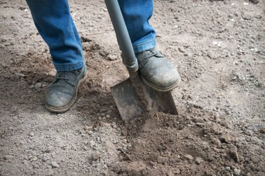 Yaşlı sağlıklı kadın, yakın plan çekimine başla. Kaba tohum kökü ekimi, vintag yaşam hobisi. Kapalı görüş iyi koyu kahverengi taze ıslak lod bio eko bereketli humus günü açık hava konsepti fikri