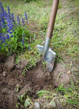 Eski el işçilerinin yakın çekimi derin gömme çukuruna başlıyor. Yeni tohum kökü ekimi, eski yaşam hobisi ekiliyor. Koyu kahverengi, taze biyoeko, verimli humus, çamur yığını, orman yığını, açık hava konsepti.