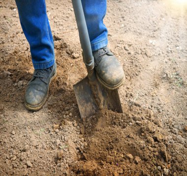 Yaşlı sağlıklı kadın, yakın plan çekimine başla. Kaba tohum kökü ekimi, vintag yaşam hobisi. Kapalı görüş iyi koyu kahverengi taze ıslak lod bio eko bereketli humus günü açık hava konsepti fikri
