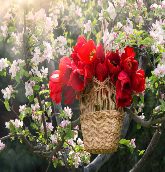 Group Cheer Fresh Lush Vivid Tulipa Bush Pink Rose Color — Stock Photo, Image