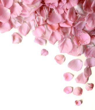 Eski moda sanat yumuşak sonbahar pastel krem renginde aroma yığını metin kopyalama alanı. Güzel, kırsal, şenlikli, parlak, bereketli bahar tomurcuğu dekoru dekoru, hediye günü kartı. Üst manzara afişini kapat.