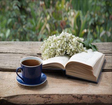 Grunge Age antika parkı abur cubur yer sıcak yemek aromalı baro masası masa kâğıt alanı. Mutlu Arap kültürü güneş ışığı taze bitki tomurcuğu yeşil ot yaprağı dinlenme kutsal kitap sanatı hala hayat