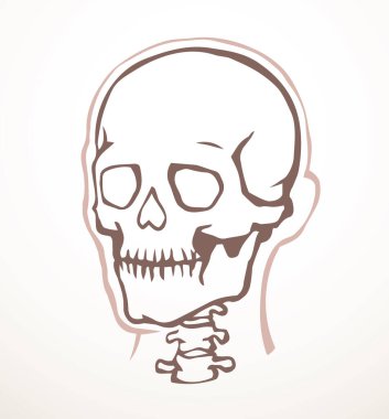 Yakın görüş eski natur craniu baş deliği kısmı omurga tarama bölümü x ışını ölüm logosu çizilmiş el çizgisi ölü omurga yaralanması hasta ağrı testi soyut çizgi çizim sanat konsepti