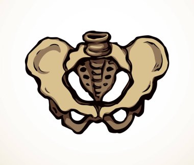 Önden beyaz, yaşlı, hasta, iliak gövde, kasık, bacak, uyluk ağrısı tedavisi, röntgen ışını yaralanması logosu. Elle çizilmiş siyah tıbbi röntgen omurga ağrısı çizimi çizim çizimi çizimi