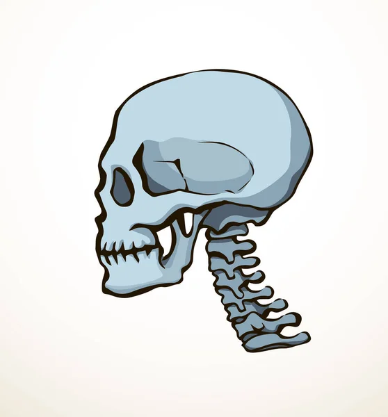 Вид Сбоку Старый Natur Craniu Черепа Отверстие Часть Позвоночника Сканирования — стоковый вектор