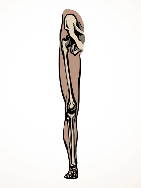 Вид Спереду Стара Жінка Хвора Травма Ноги Язова Тканина Частина — стоковий вектор