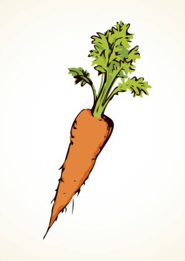 Beyaz zemin üzerinde izole olgun taze özlü kırmızı Daucus carota haulm taproot. Parlak turuncu el çizilmiş logo işareti simgesi retro sanat doodle çizgi roman tarzında yarım yamalak. Portre görünümünde metin alanı olan