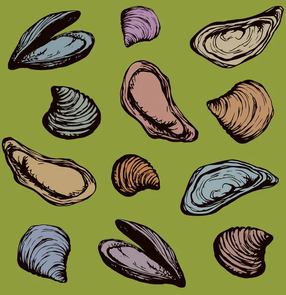 Grande Perle Fraîche Mollusque Ostreidae Sur Fond Vert Encre Noire — Image vectorielle