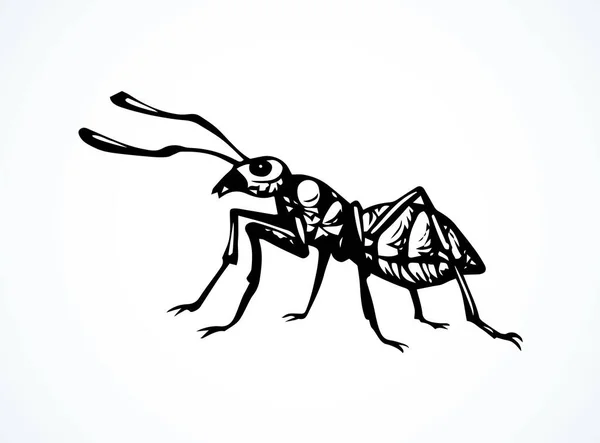 Big Dark Eusocial Formicidae Linear Ink Drawn Emblem Logotype Sketchy — Stock Vector